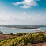 A picturesque view of Mandrem Beach with lush greenery and blue sky in Goa, India.